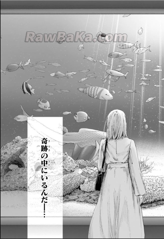 アオのハコ raw ( Blue Box raw ) 第235話