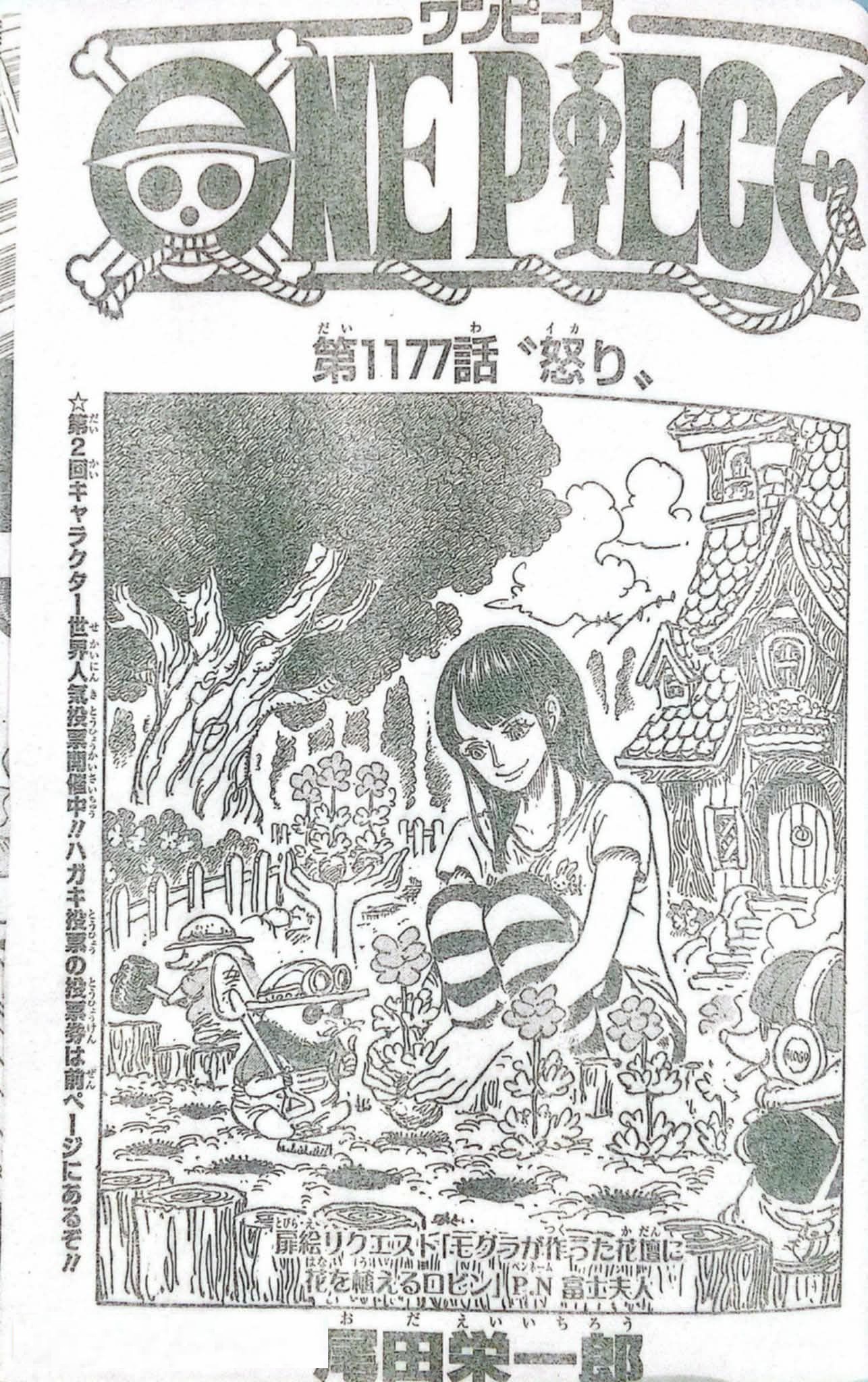 キングダム raw( Kingdom raw )第864話